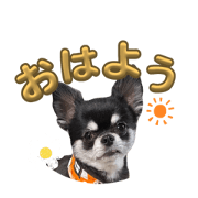 taehi_20240101114829