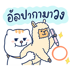 เจ้าแมวจอลลี่จอมป่วน