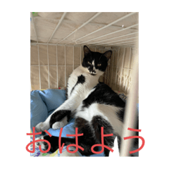 suzu_20240101151911