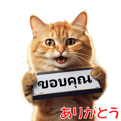かわいい猫のメッセージ：タイ語と日本語