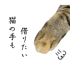 TOMOMI_20240101154106
