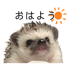 momosusu_20240101205333