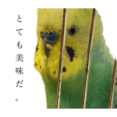 Oryoryo_20240101213722