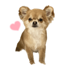 Yuka_20240101232441