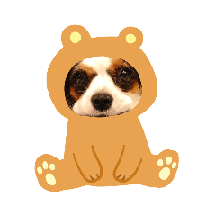 Cookie stickers 1018