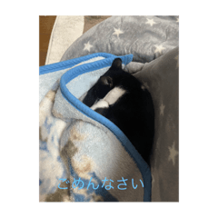 suzu_20240101214717