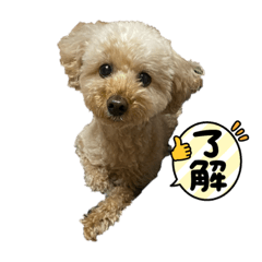 kana_20240102085830