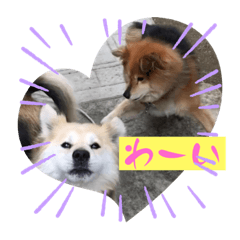 ロンとちいくん3