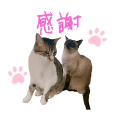 yuka_20240102004516