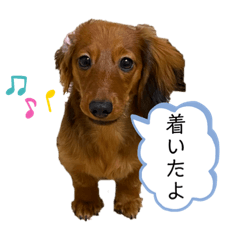 nao_20240102005322