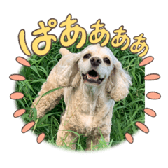yuka_20240102020730