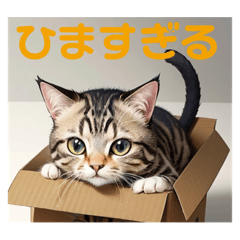 箱入り猫2 CAT IN THE BOX2