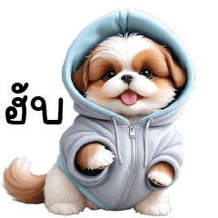 Shizu Cute Dog Hoodie