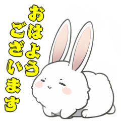 rabbit word JP