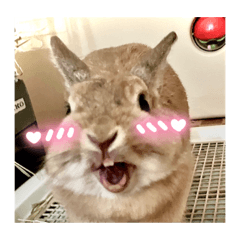 onigiriFace_20240102173252