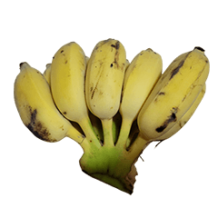 Food Series : Some Banana (Plantain) #4