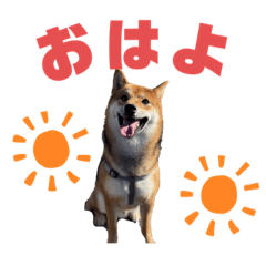 yuuko_20240102173632