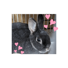 abc yuka _20240102181920