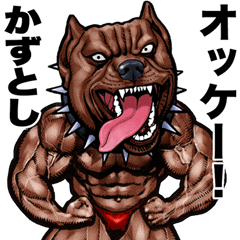 Kazutoshi dedicated Muscle macho animal