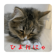 suzu_20240102202237
