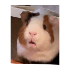 You can use it anytime