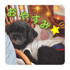 Mayuyu_20240103112109