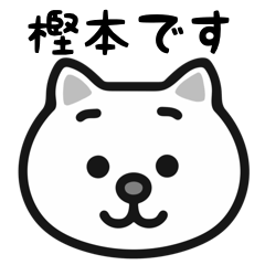 Kashimoto cat stickers