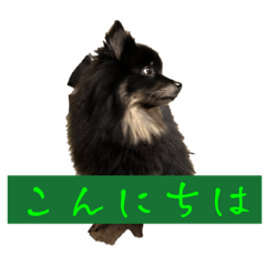 ganozo_20240102225231