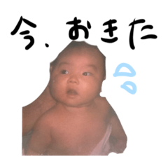 sak_20240102234105