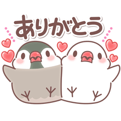 Chubby java sparrow-Felling-