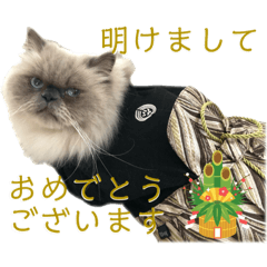 Franz the Cat season's greetings Sticker