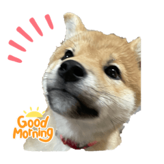 nao_20240103152656