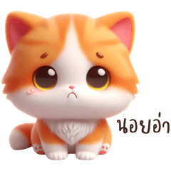 Mijuko : orange cat