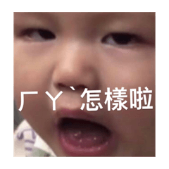 寶貝侄子eee