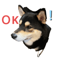 sakura_20240103183324