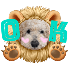 nanamy_20240103210938