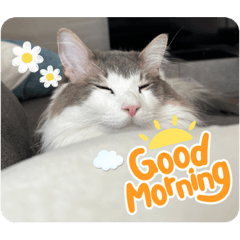 yuka_20240103215435