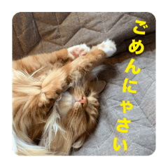 nao_20240103220457