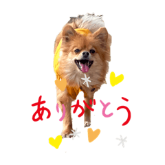 yn_20240104082042