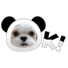 Cherio_20240104112730