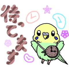 Cute greeting from a budgie