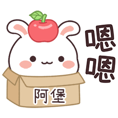 JOJO_Bunny1_01285_A E BAO