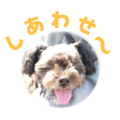 Natsuki_20240104155413