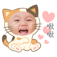 楊橙橙1.0版本