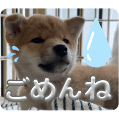 nao_20240104164110