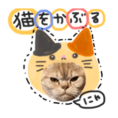 きまぐれきなこ♂のきもちスタンプ⑥日常