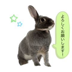 kichi_20240104160607