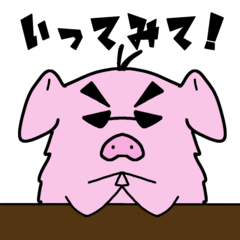 Charismatic Buta is Actually Cute