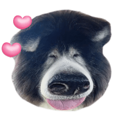 SAKURA_20240104222855