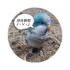 4551186186468468648646wicbwhxshchssgwg